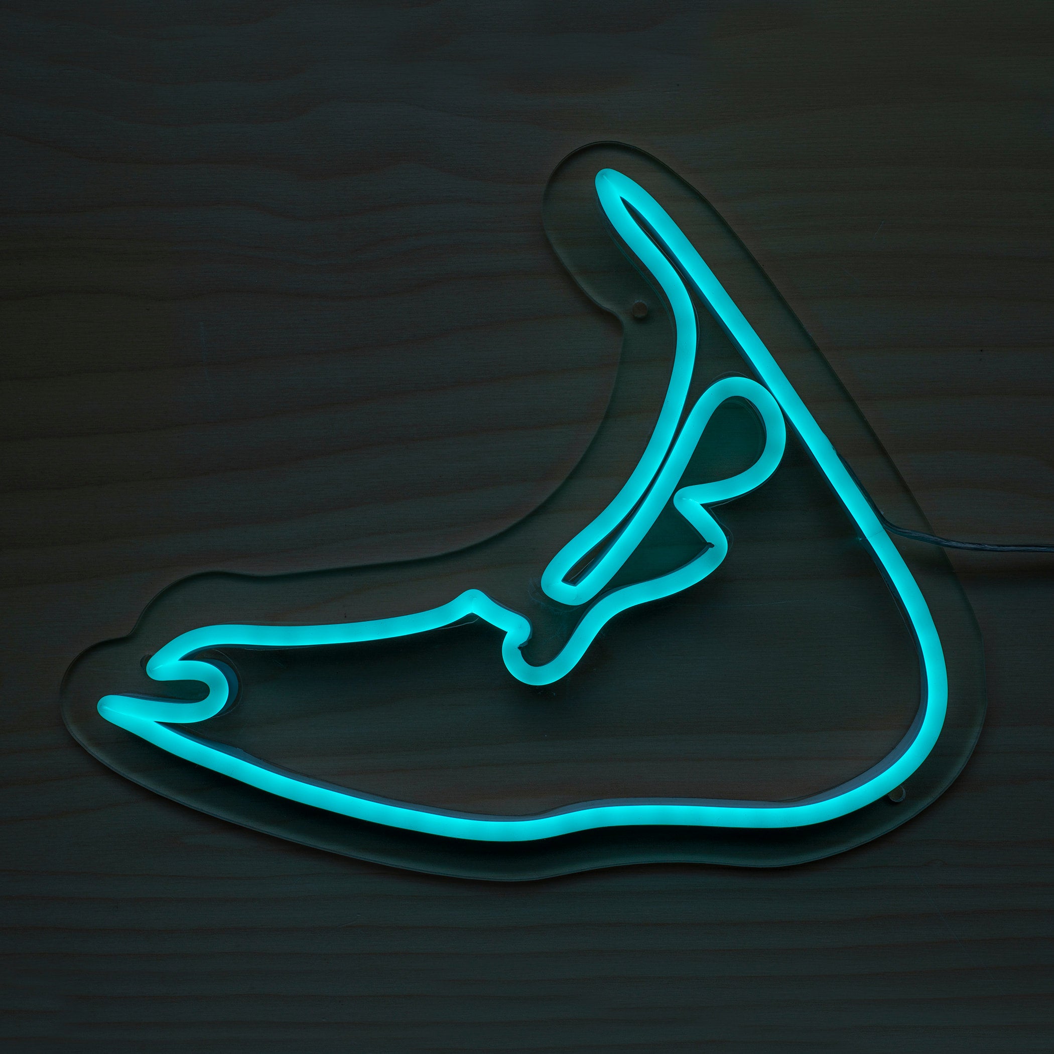 Neon Light - Blue